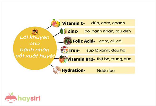 lời khuyên dành cho người sốt xuất huyết