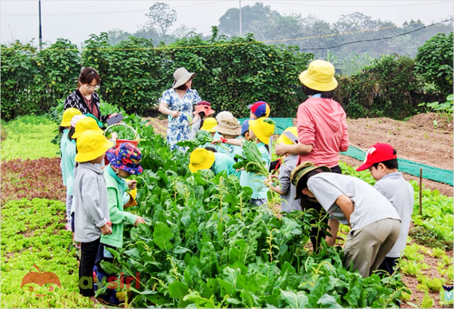 học sinh jean piaget thử thách làm vườn