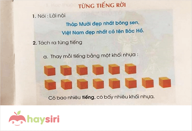 sách giáo khoa cải cách của thầy hồ ngọc đại