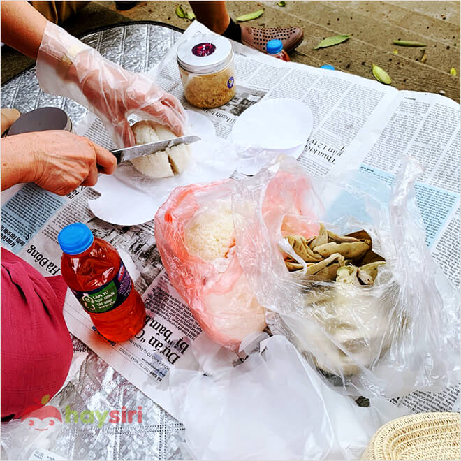 mang đồ ăn picnic ở rừng cúc phương