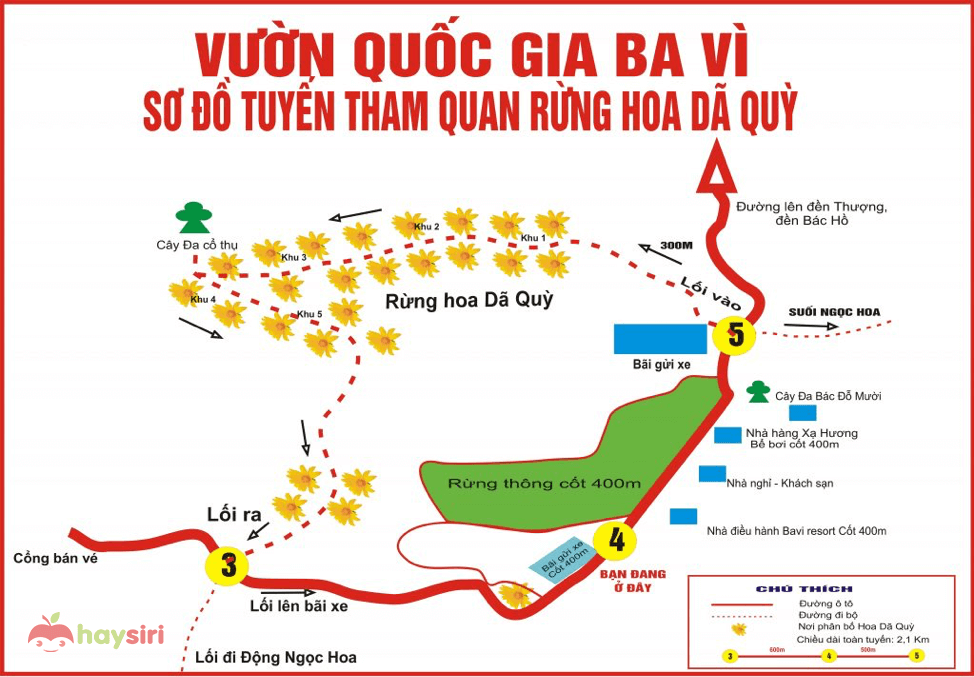 sơ đồ tuyến thăm quan hoa dã quỳ