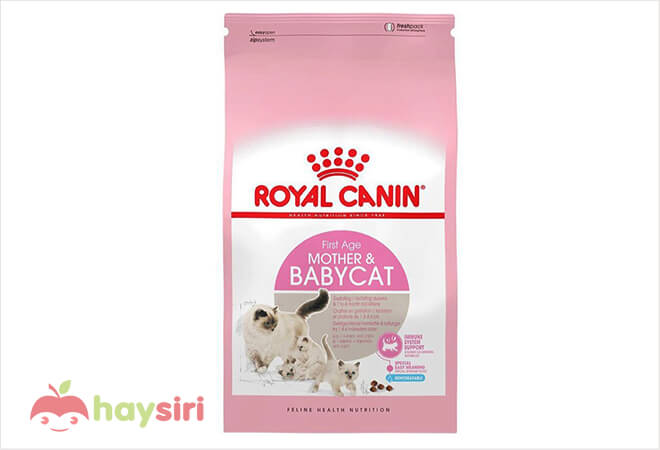 hạt thức ăn cho mèo royal canin