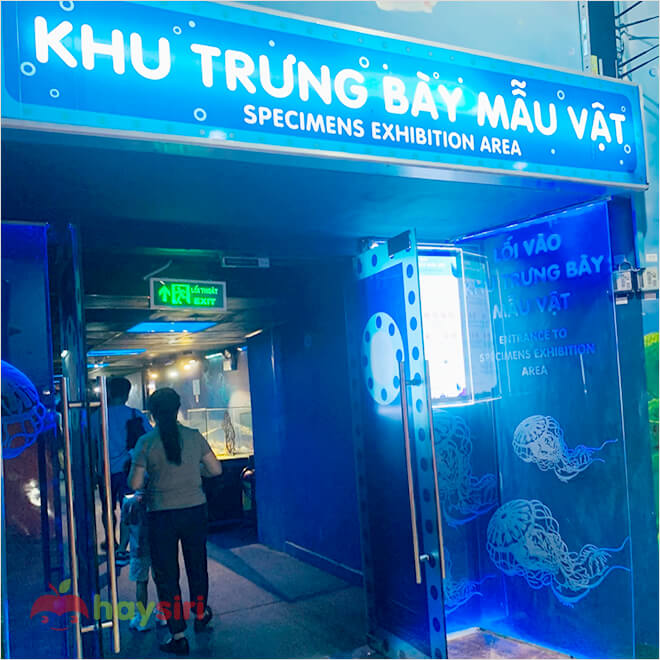 khu trưng bày mẫu vật thuỷ cung