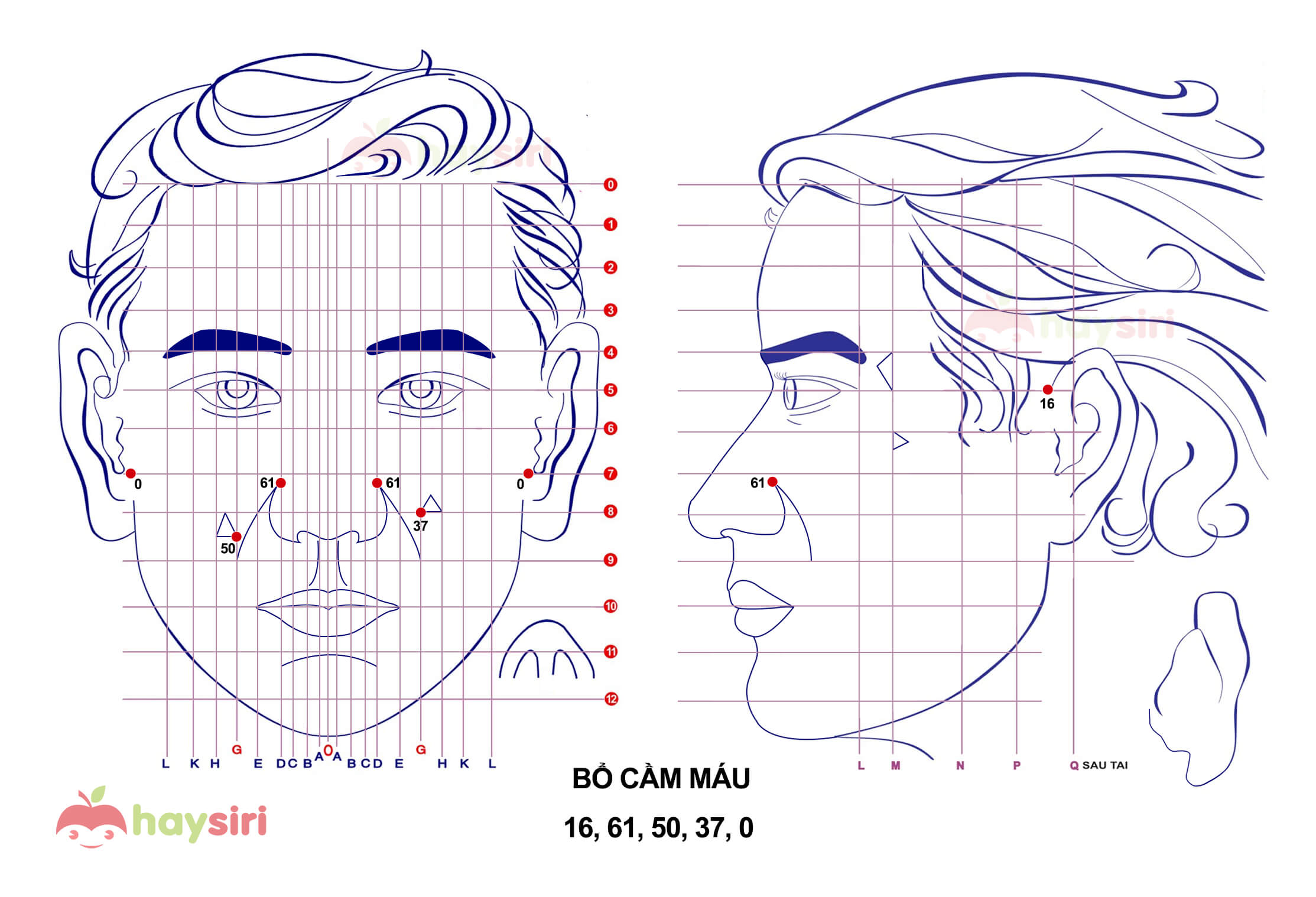 bộ cầm máu diện chẩn