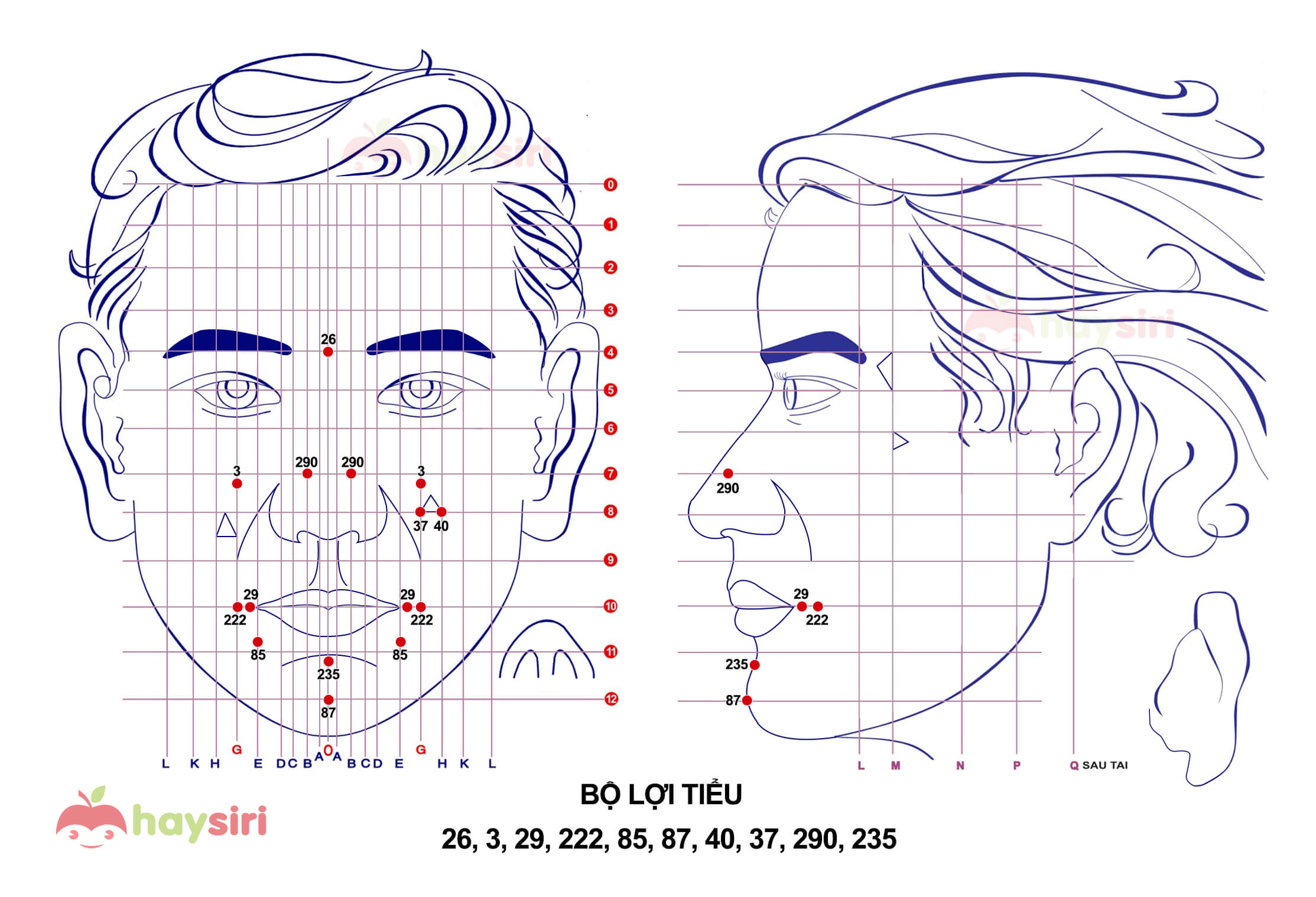 bộ lợi tiểu diện chẩn