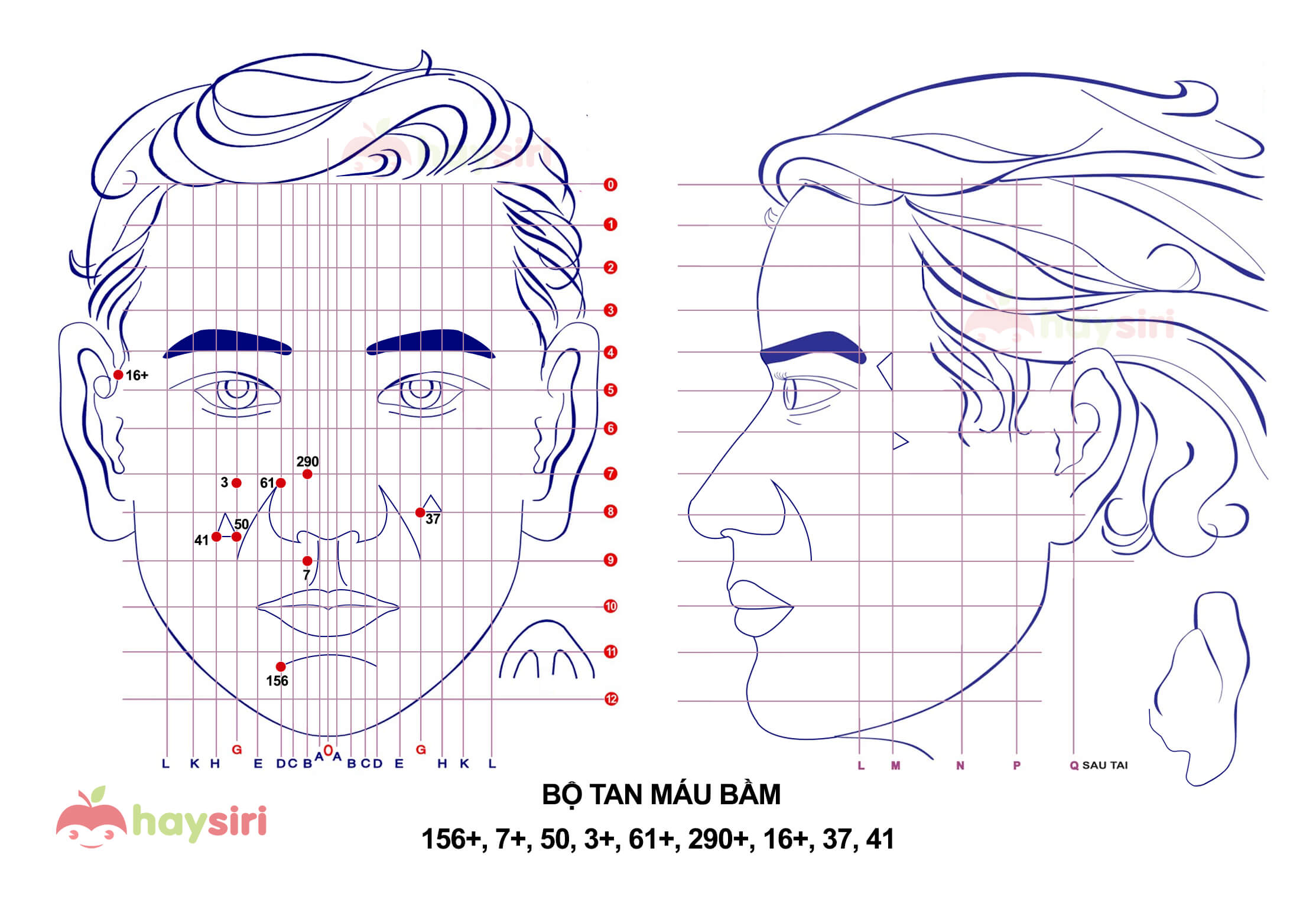 bộ tan máu bầm diện chẩn