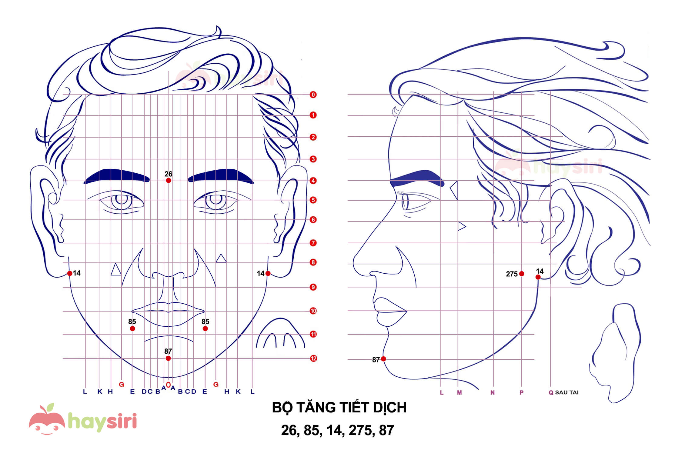 bộ tăng tiết dịch diện chẩn