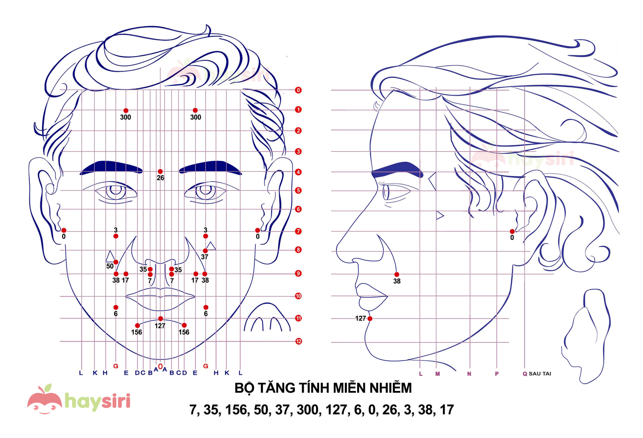 bộ tăng cường tính miễn nhiễm