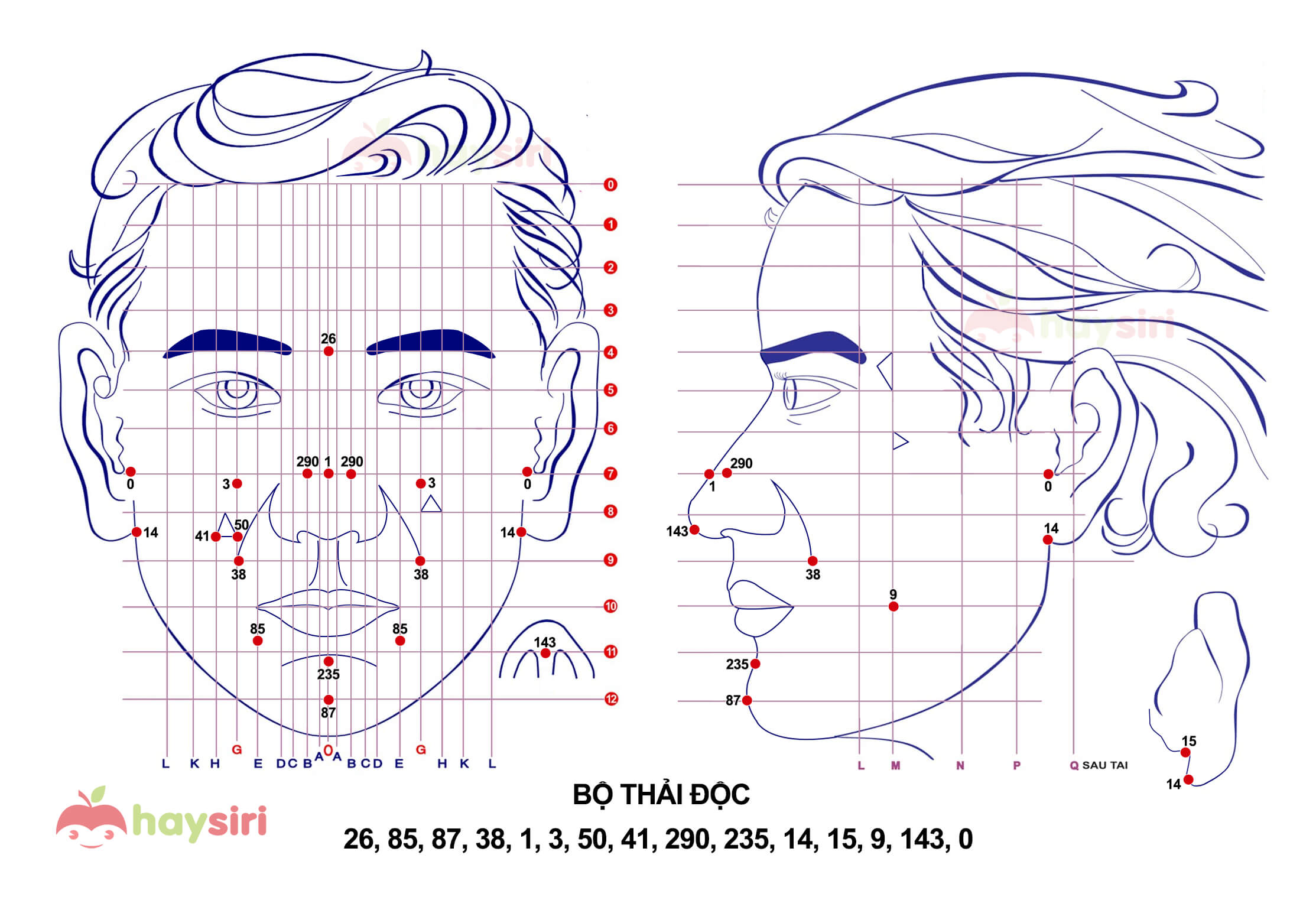 Bộ thải độc diện chẩn