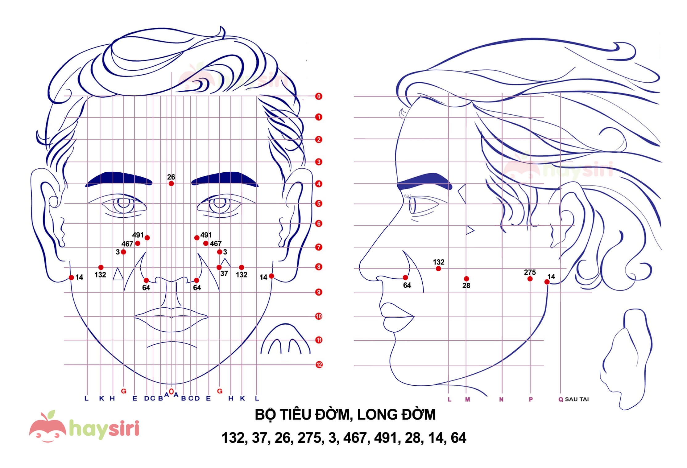 bộ tiêu đờm long đờm diện chẩn