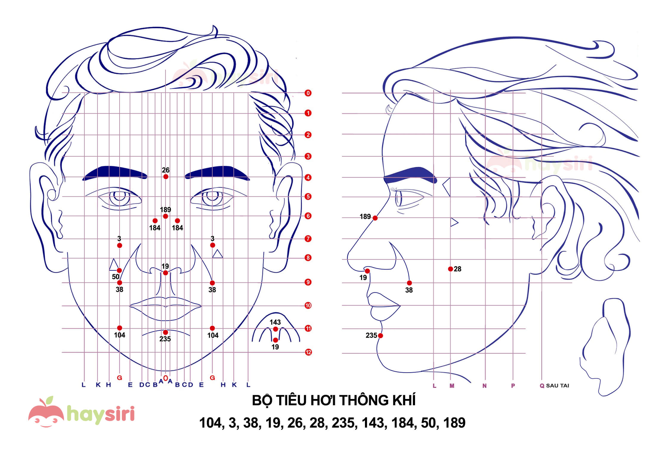 bột tiêu hơi thông khí diện chẩn