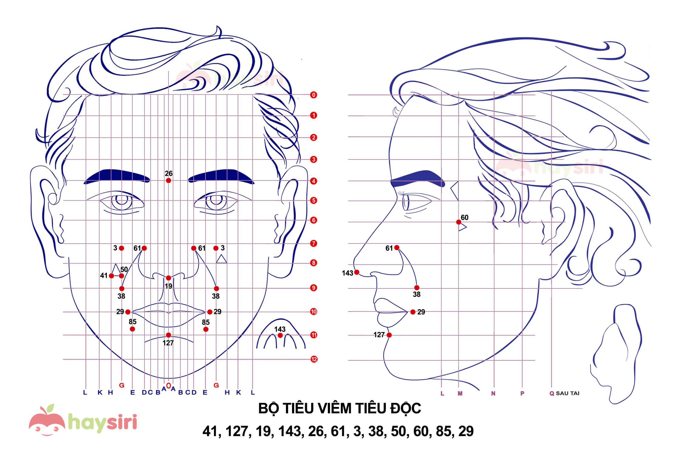 bộ tiêu viêm tiêu độc diện chẩn