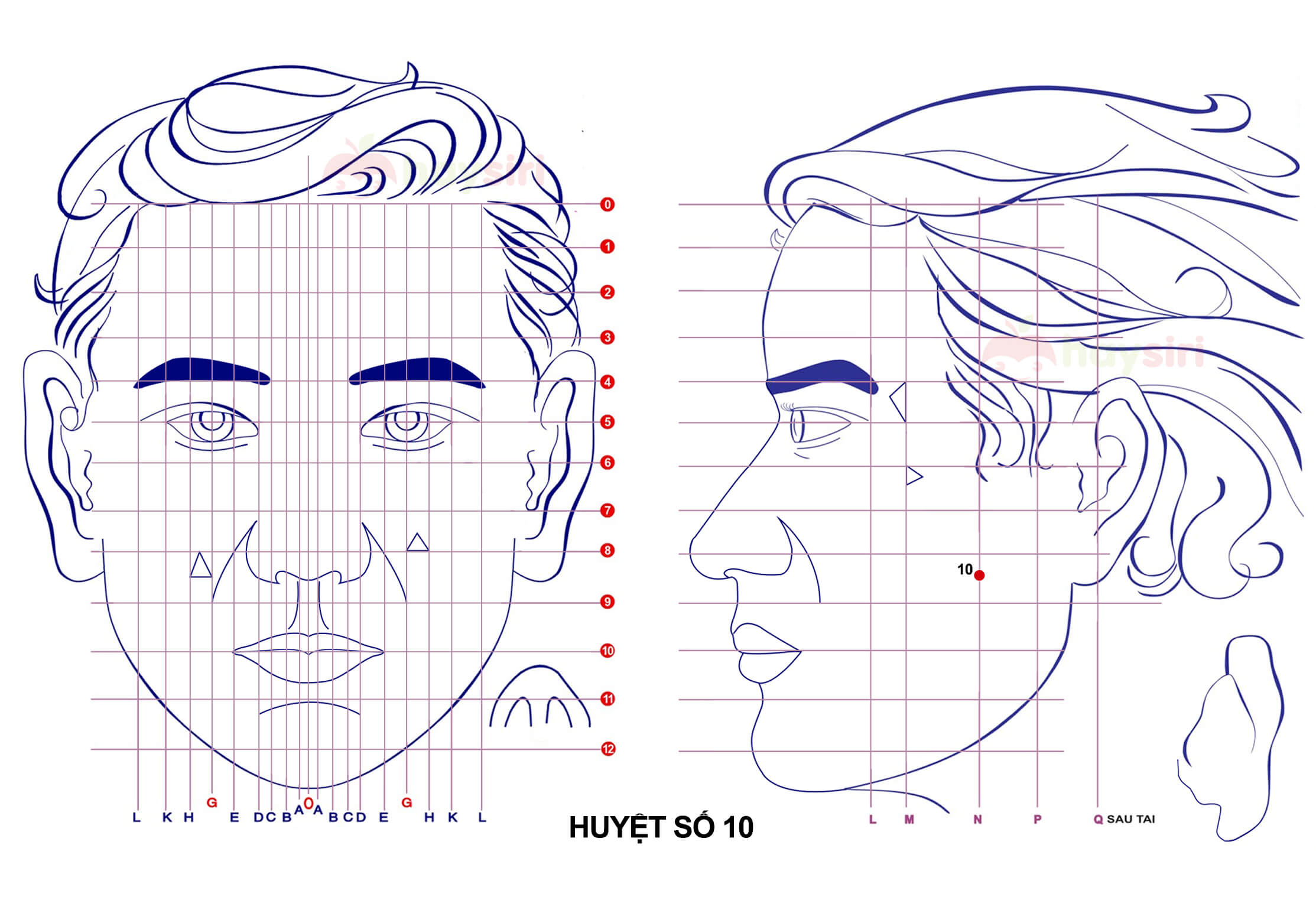 huyệt số 10 diện chẩn