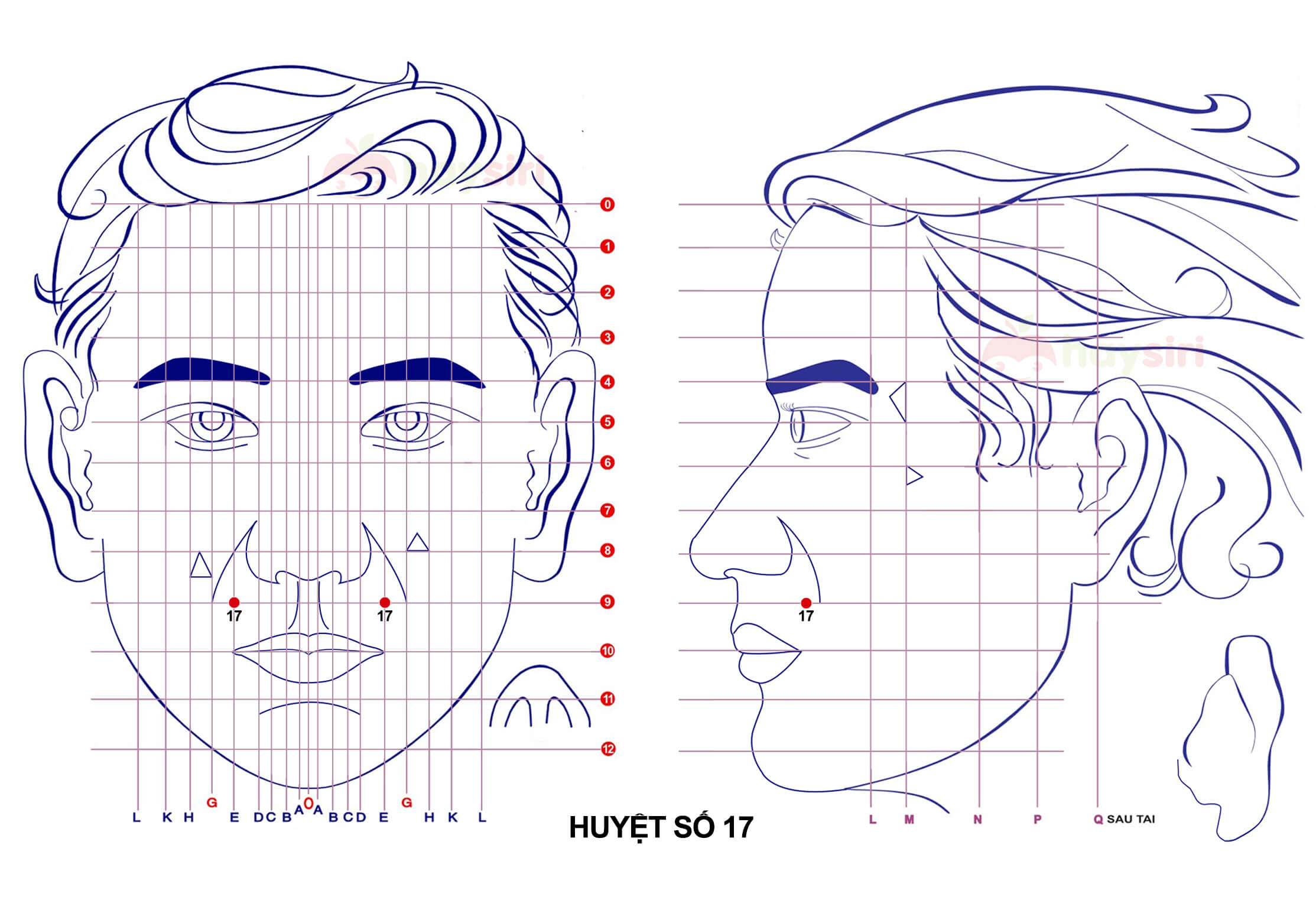 huyệt số 17 diện chẩn