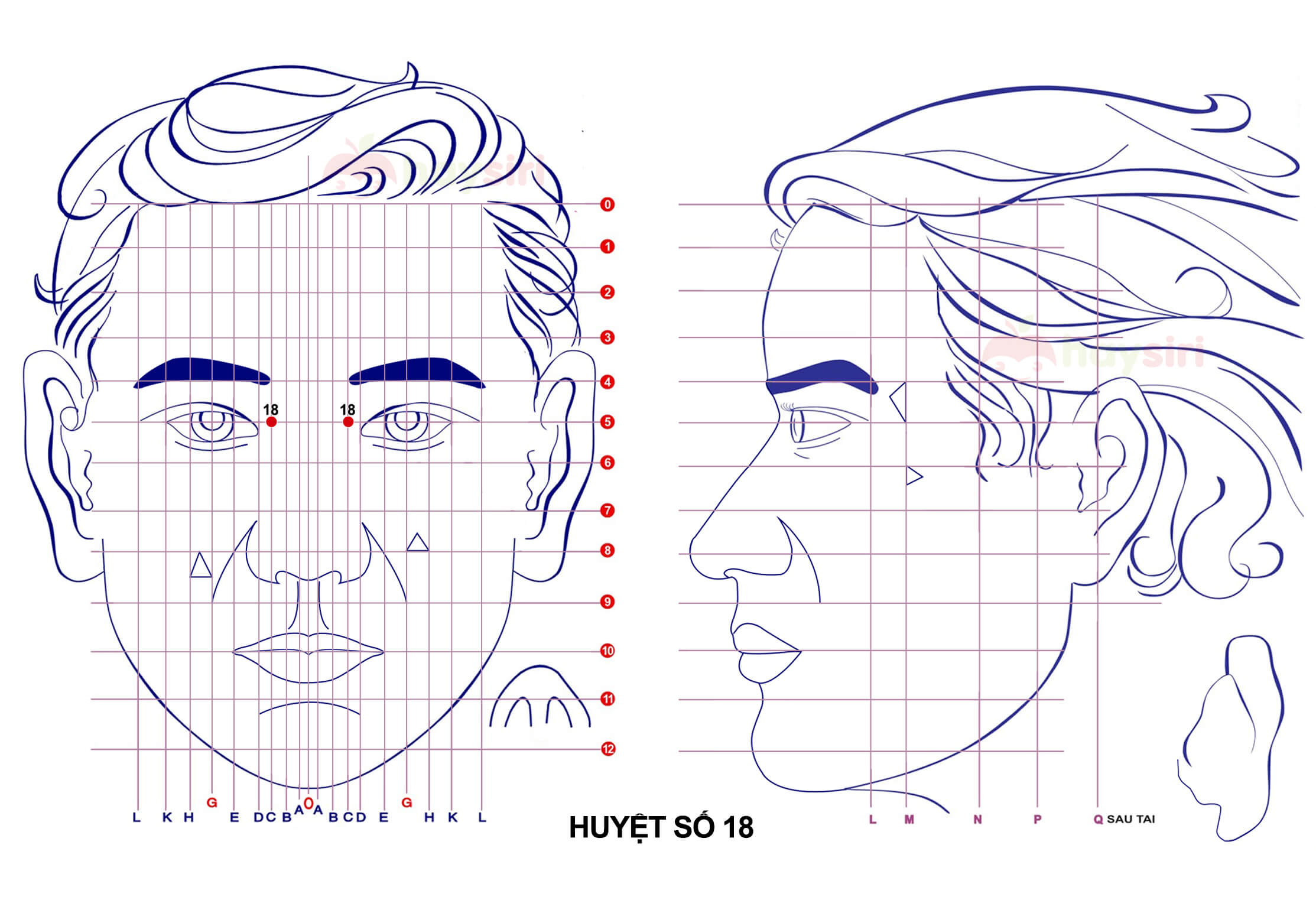 huyệt số 18 diện chẩn