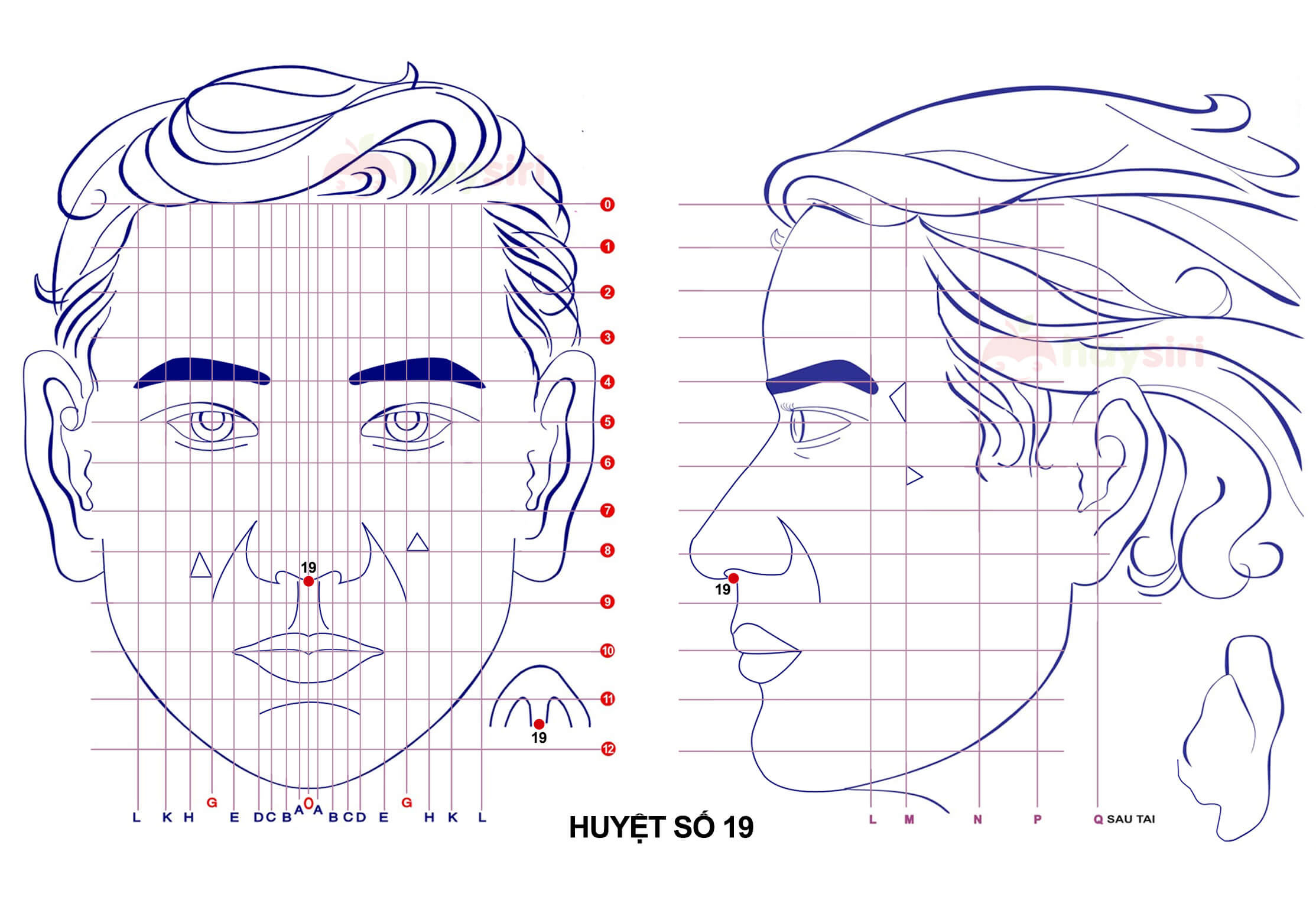 huyệt số 19 diện chẩn