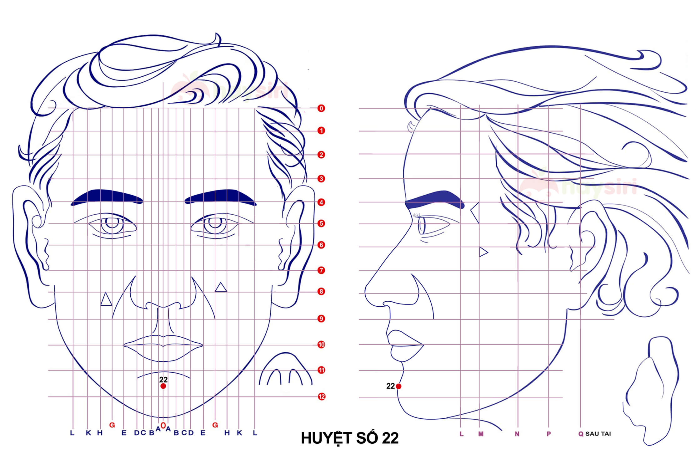 huyệt số 22 diện chẩn