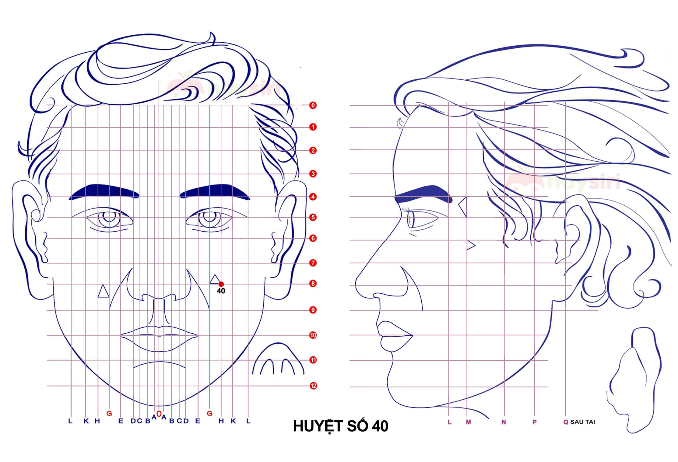 huyệt số 40