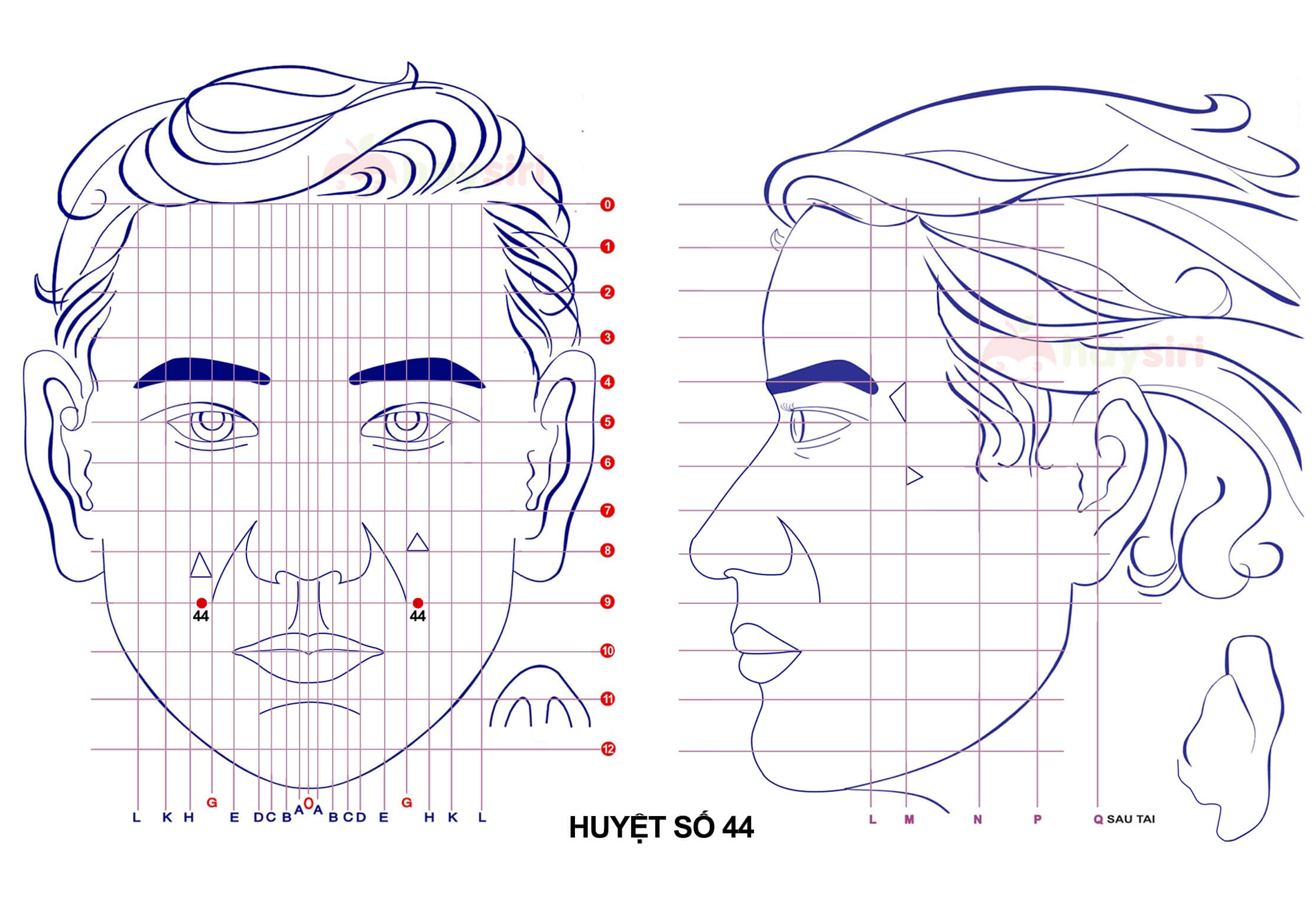 huyệt số 44