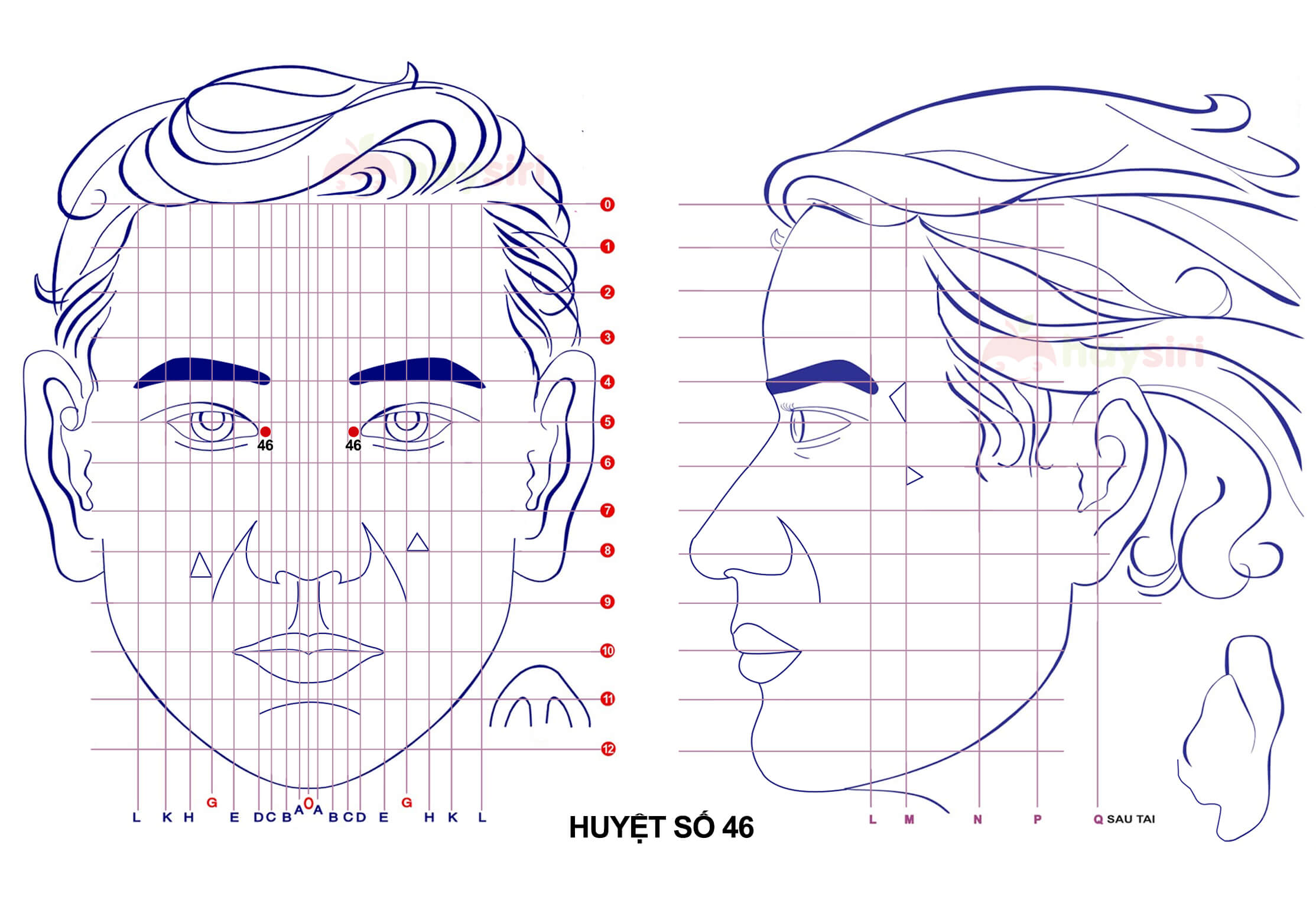 huyệt số 46 diện chẩn