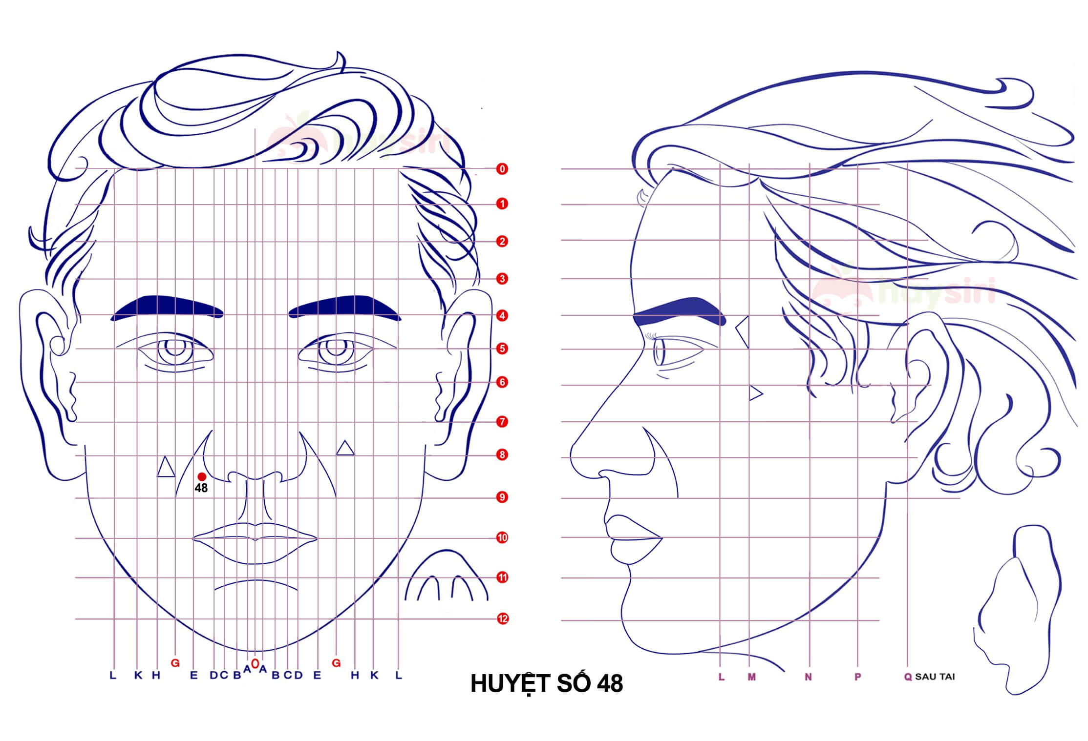 huyệt số 48 diện chẩn