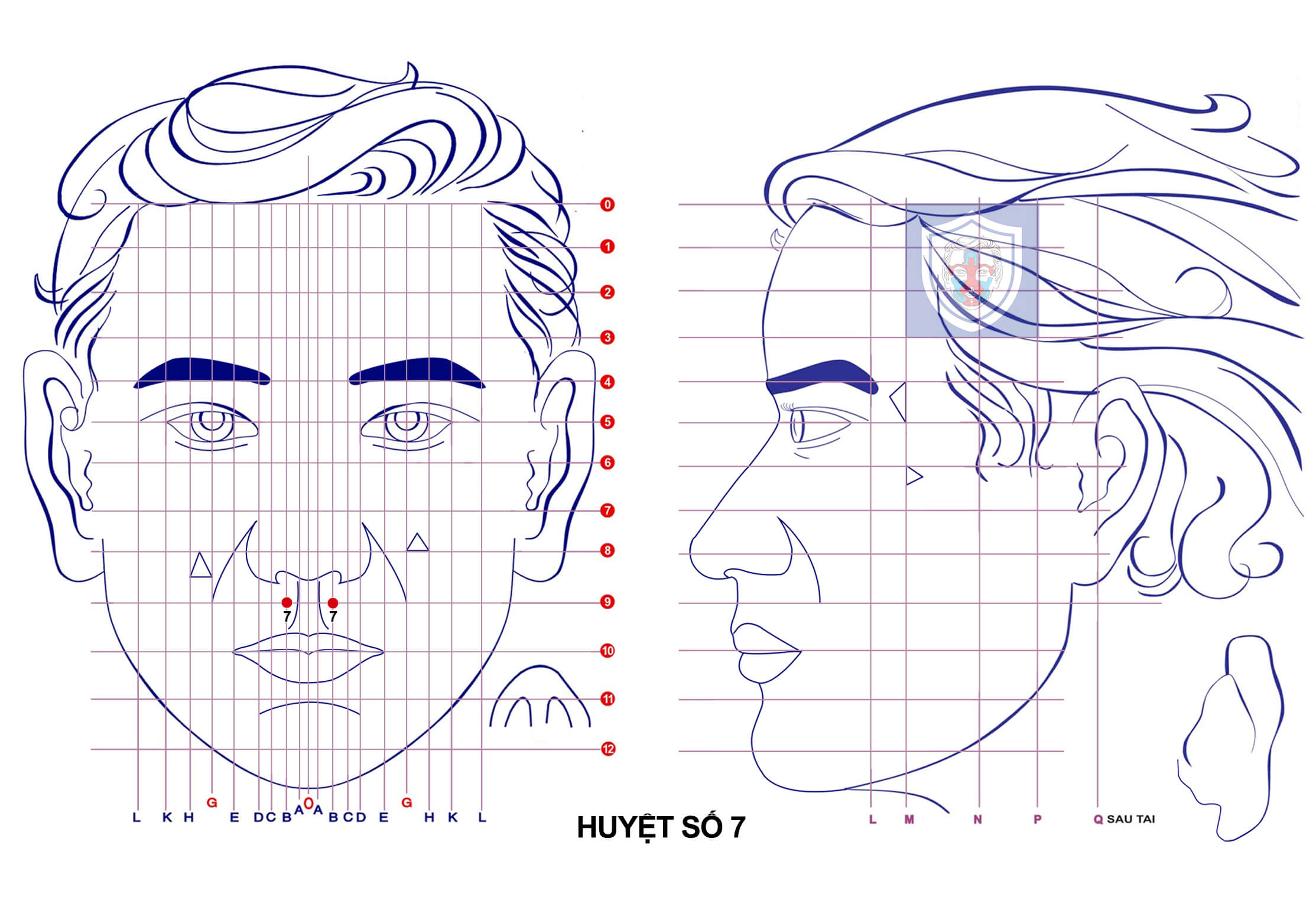 huyệt số 7 trong diện chẩn