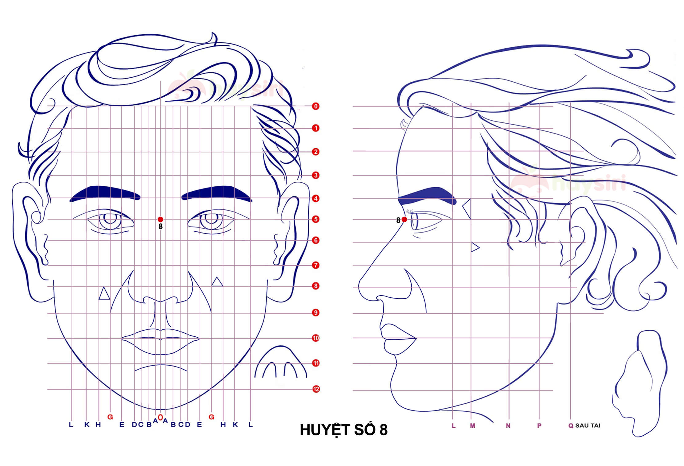 huyệt số 8 diện chẩn