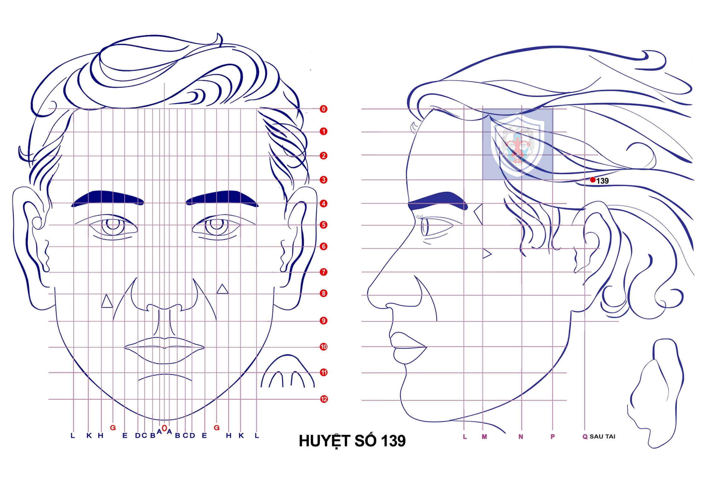 huyệt số 139 diện chẩn
