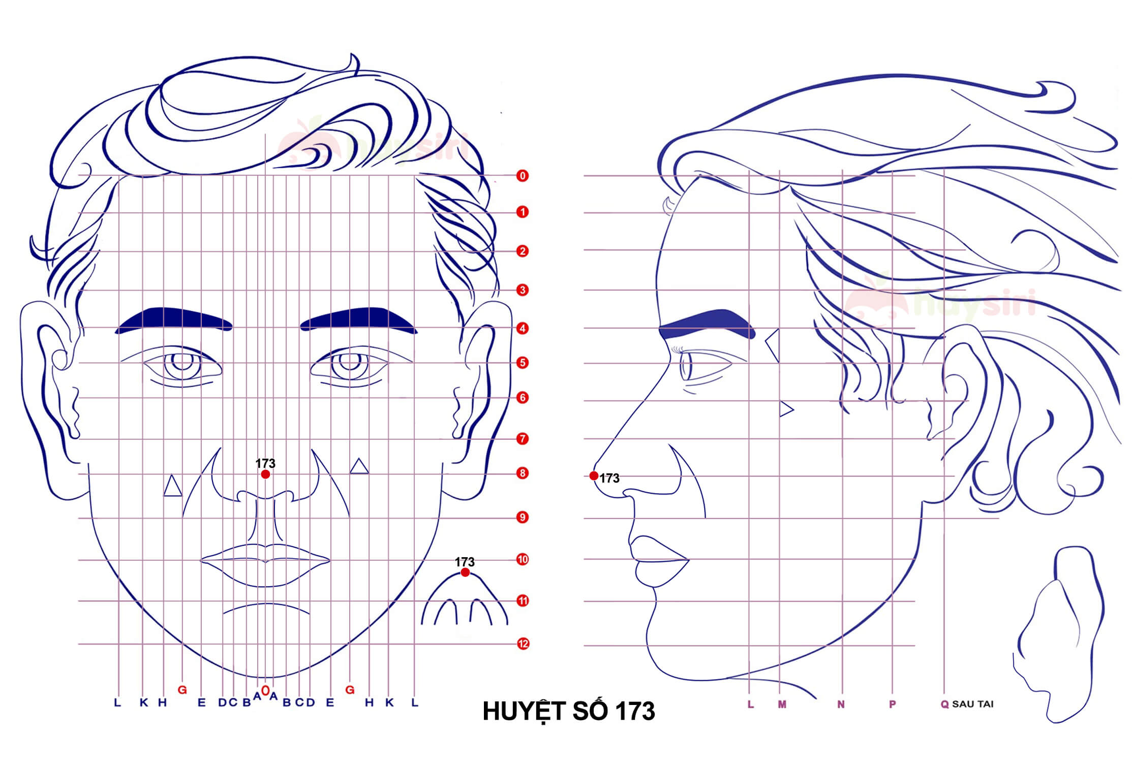 huyệt số 173 diện chẩn