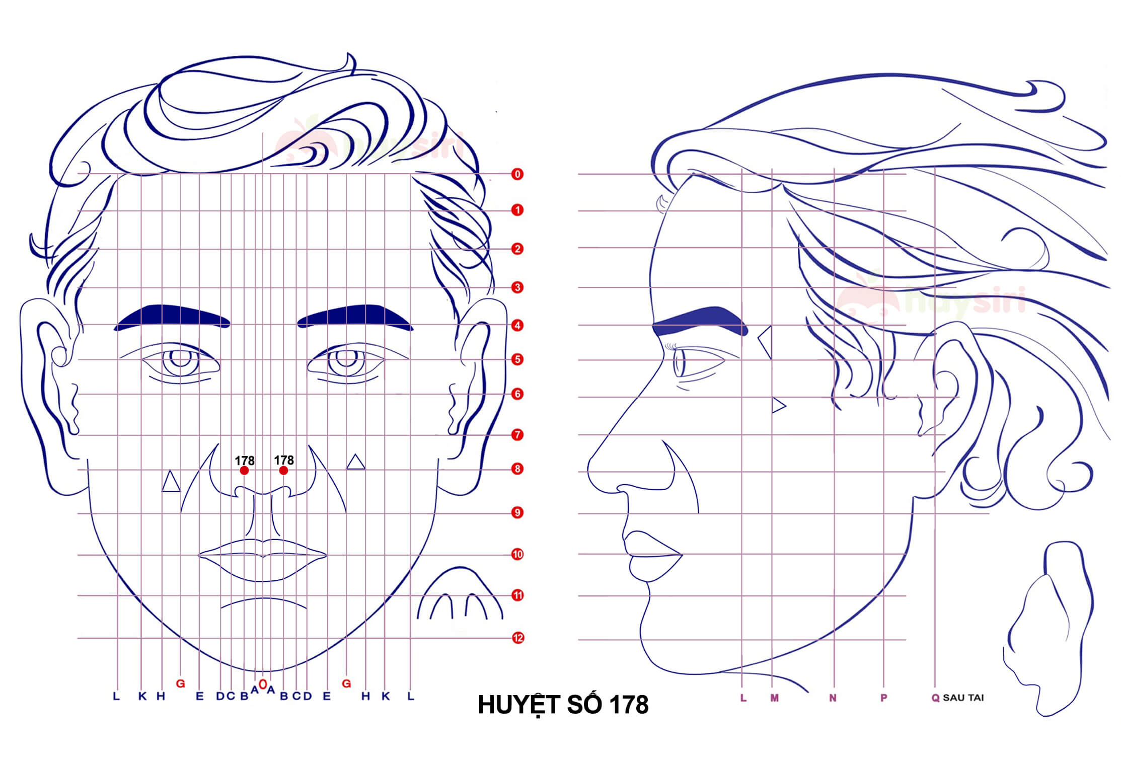 huyệt số 178 diện chẩn