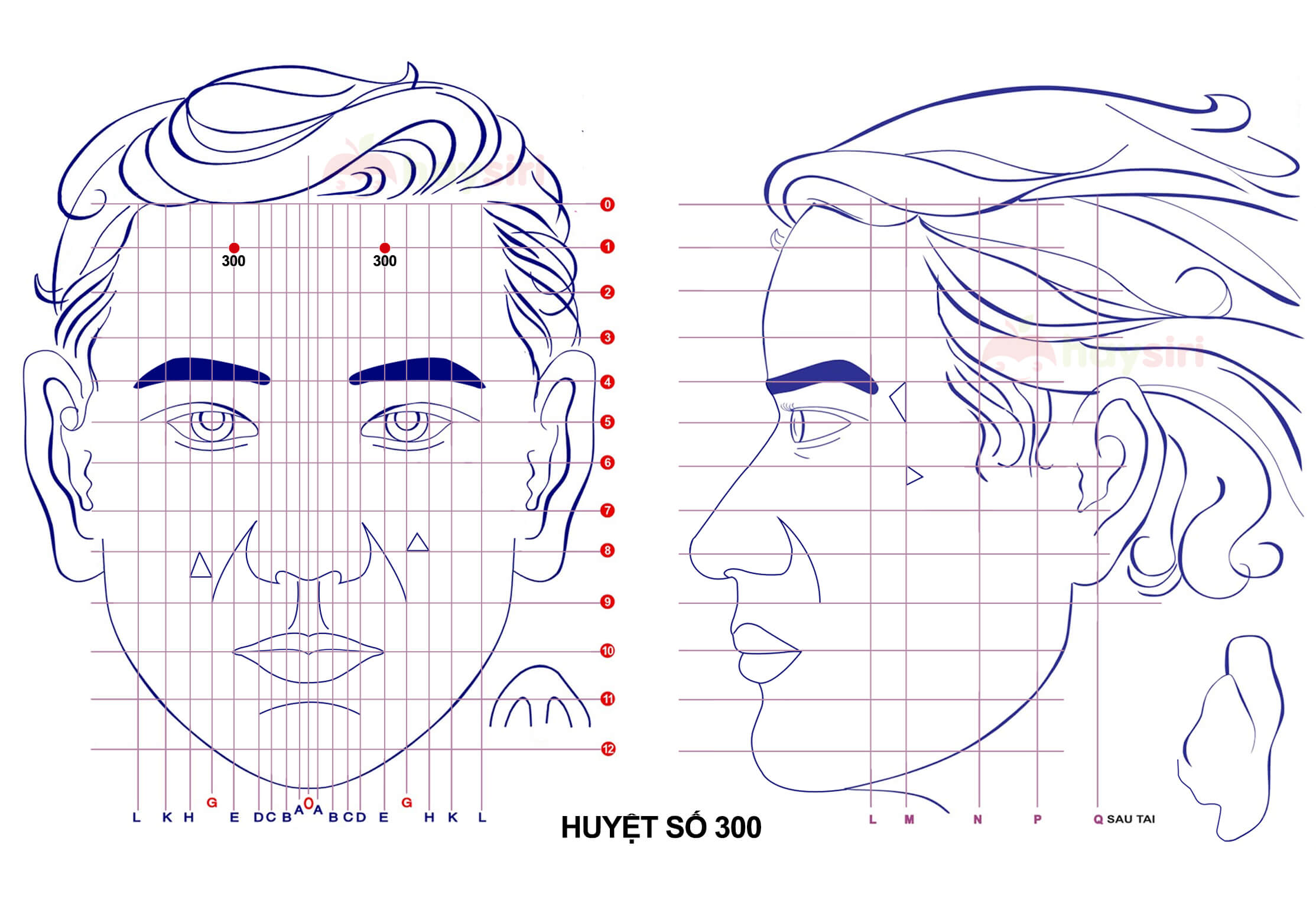 huyệt số 300 diện chẩn