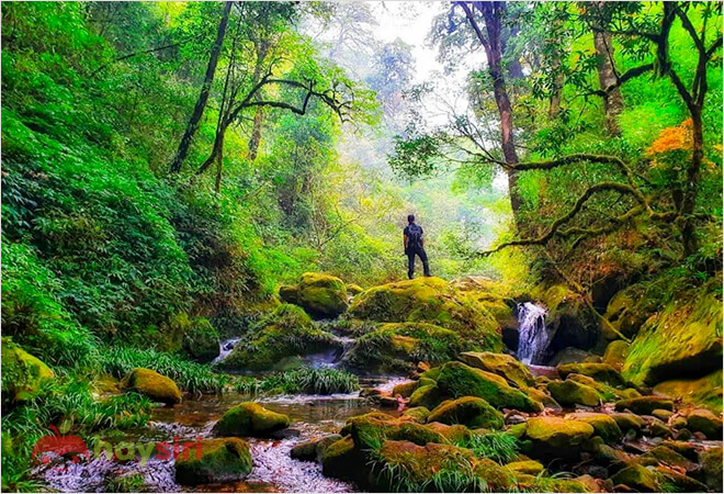 Cung đường trekking thơ mộng