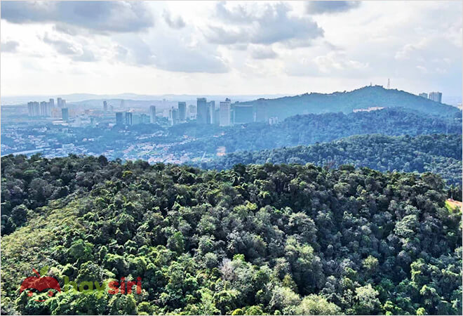 đỉnh bukit kiara malaysia