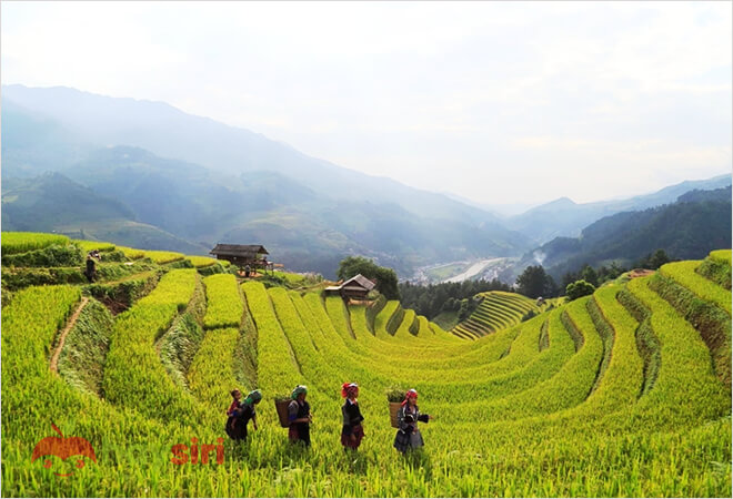 du lịch yên bái