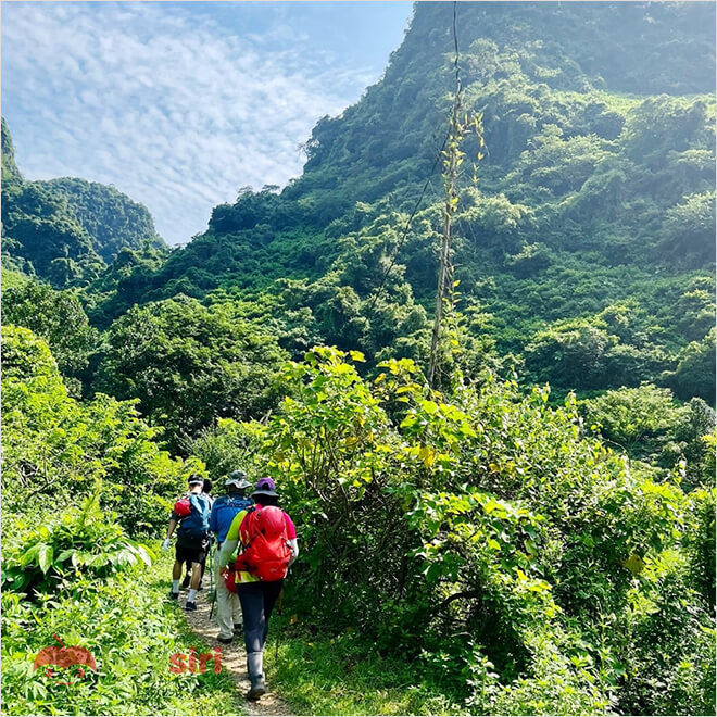 Đường trekking vào thung lũng xanh mát