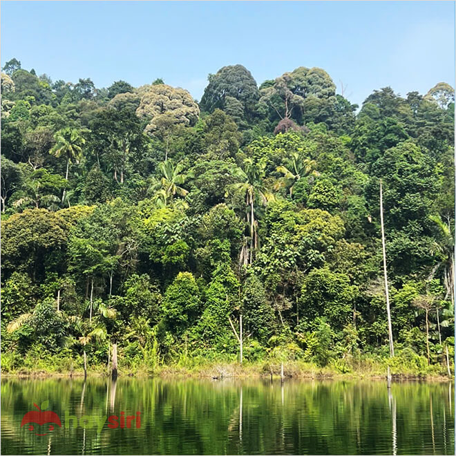 hồ mirror lake