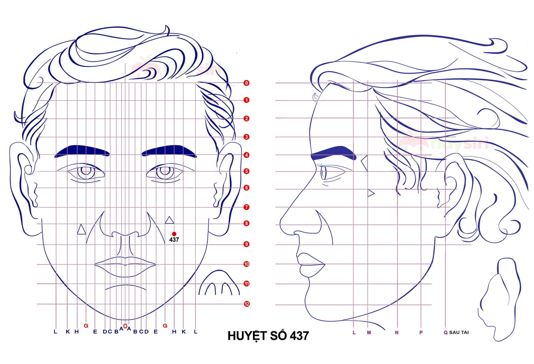 huyệt số 437 diện chẩn