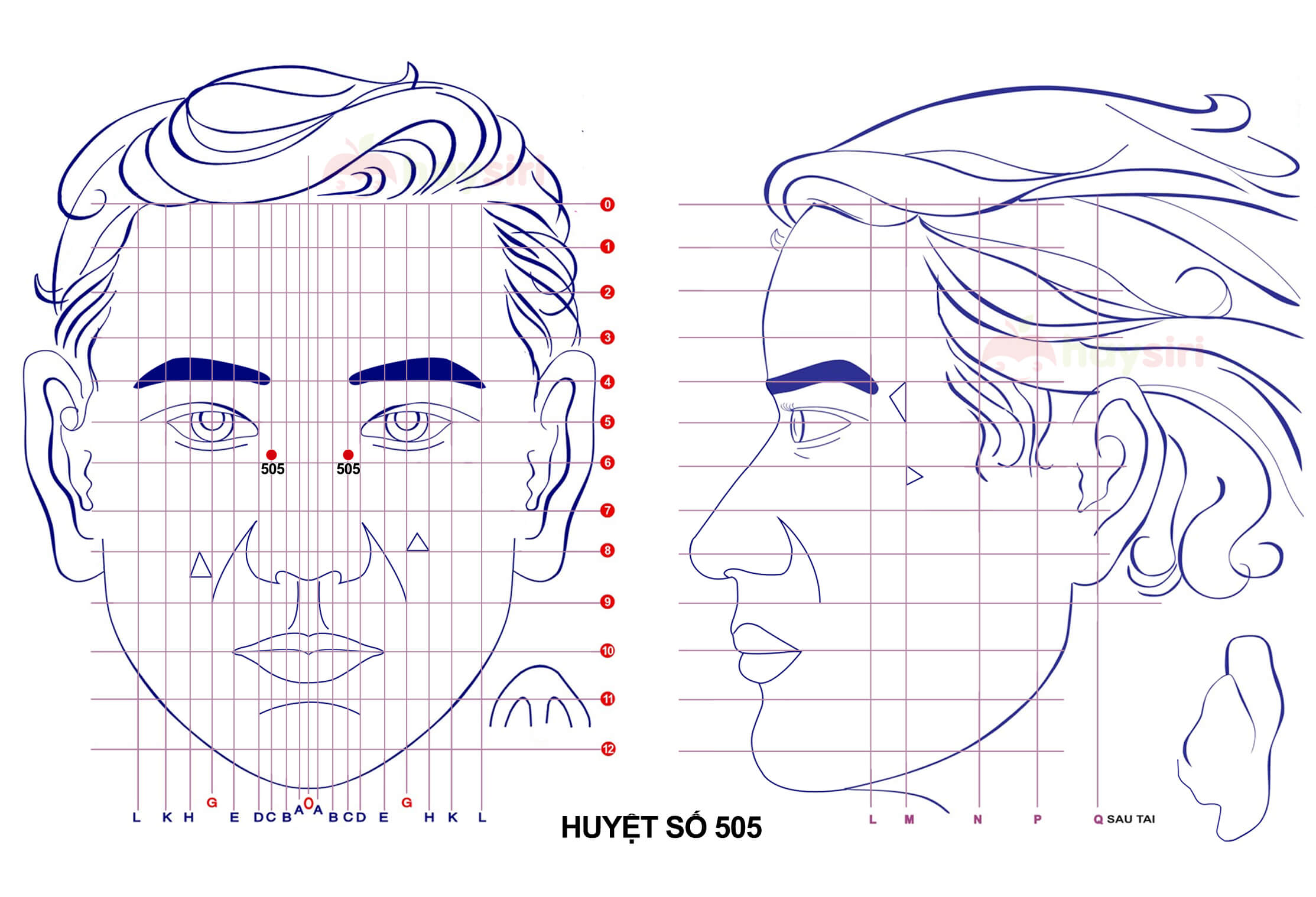 huyệt số 505 diện chẩn