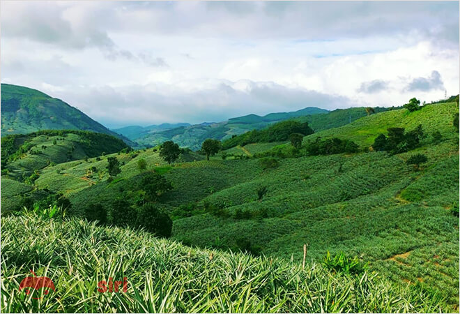 Thung lũng Đồng Din