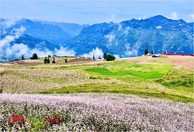 thuỵ sỹ thu nhỏ trong lòng hà giang