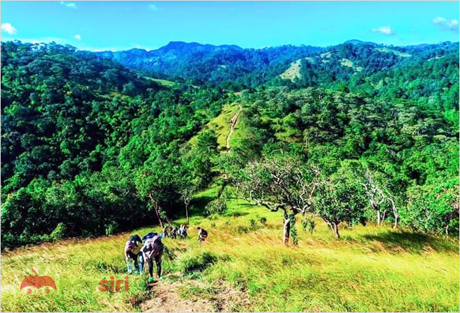 trekking lâm đồng