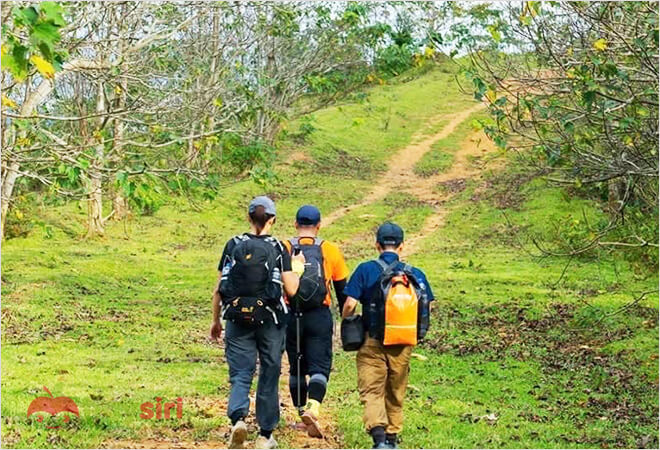 Cung đường trekking ở rừng Phong Hương