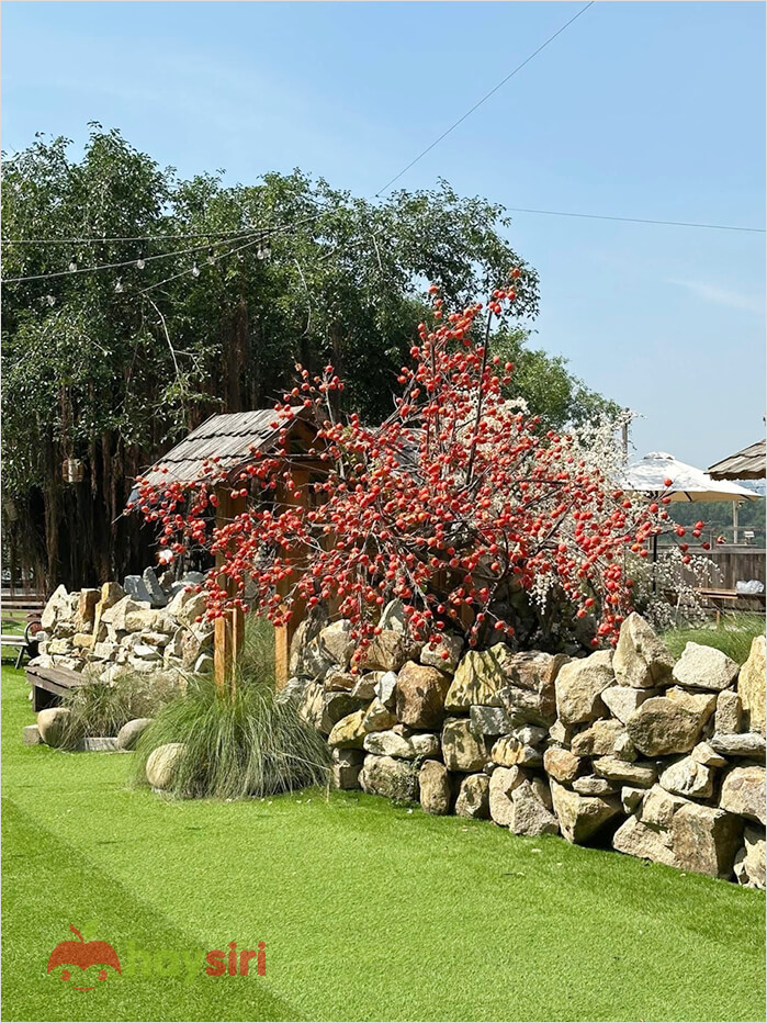 Không gian ngoài trời ở Anna Garden