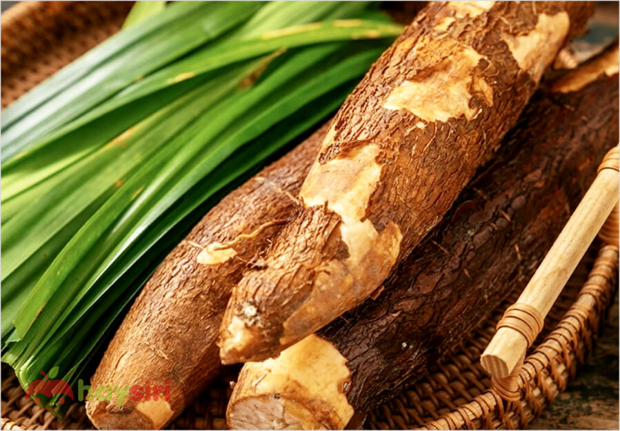 Củ sắn (khoai mì) quen thuộc trong văn hóa ẩm thực Việt