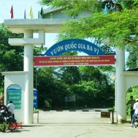 Tham quan và cắm trại tại vườn quốc gia Ba Vì có hợp lý cho cả gia đình vào những ngày nghỉ không?
