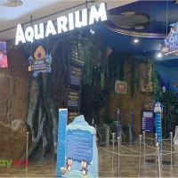 Tham quan Thuỷ Cung Times City, Hà Nội một cách trọn vẹn nhất: Review chia sẻ kinh nghiệm đi tháng 5/2023