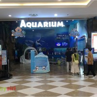 Gợi ý lịch trình tham quan Thuỷ Cung Times City cụ thể nhất: buổi sáng, buổi chiều, buổi tối và cuối tuần