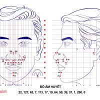 Bộ bổ âm huyết trong Diện Chẩn