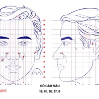 Bộ cầm máu trong Diện Chẩn liệu pháp