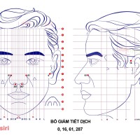 Bộ Giảm tiết dịch trong Diện Chẩn